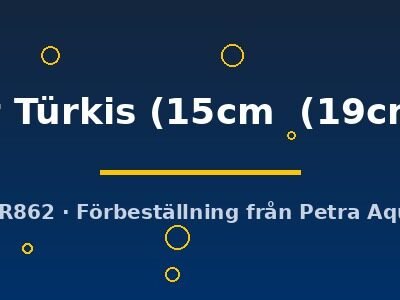 rot Türkis (15cm (19cm))