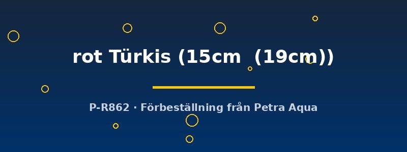 petra-ph2-174774 Discus original Stendker rot Türkis 15–19 cm