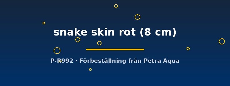 petra-ph2-174779 Diskus orig. Stendker snake skin rot 8 cm