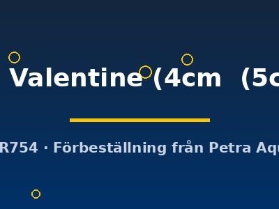 Symphysodon Red Valentine 4–5 cm