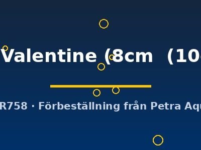 Symphysodon Red Valentine 8–10 cm