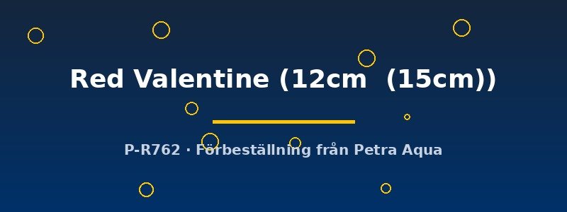 petra-ph2-175010 petra-ph2-175010