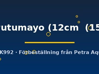 Rio Putumayo (12cm (15cm))