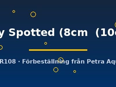 Ruby Spotted (8cm  (10cm))