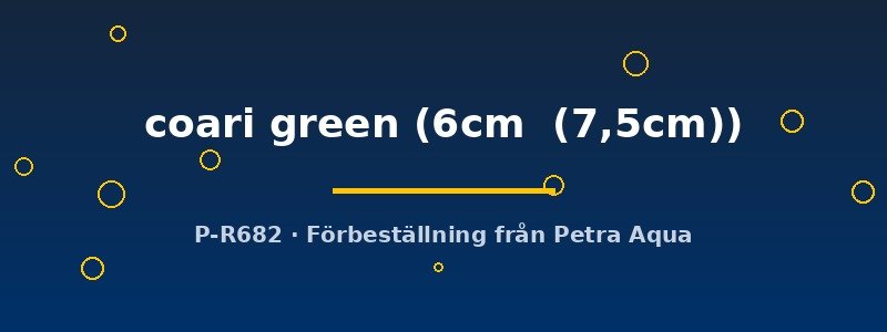 petra-ph2-175122 petra-ph2-175122