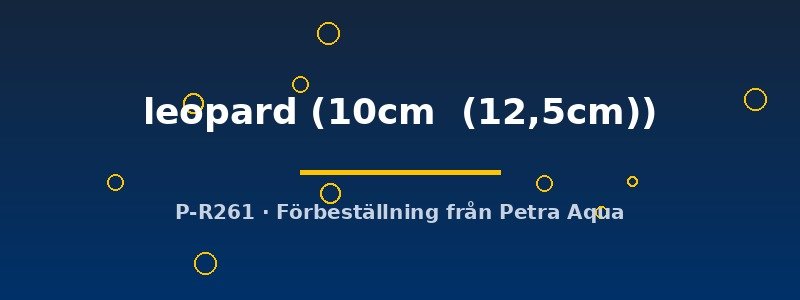 petra-ph2-175133 petra-ph2-175133