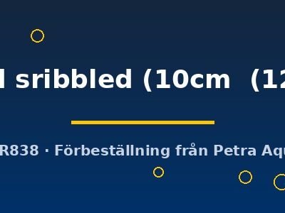 leopard sribbled (10cm (12,5cm))