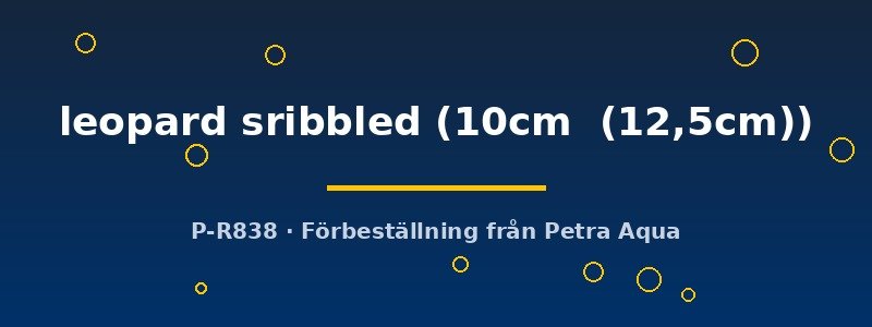 petra-ph2-175139 petra-ph2-175139