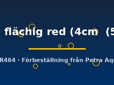 marl. flesching red (Symphysodon marl. flächig red) 4–5 cm