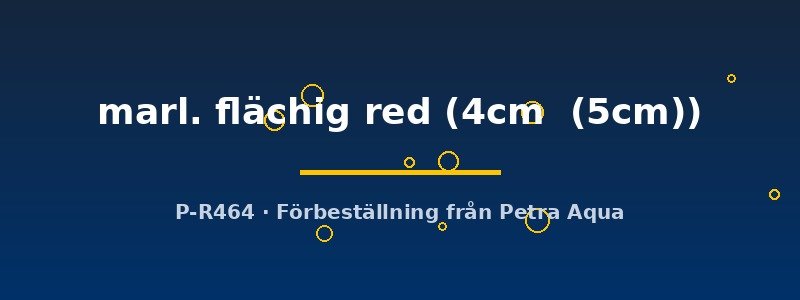 petra-ph2-175141 petra-ph2-175141