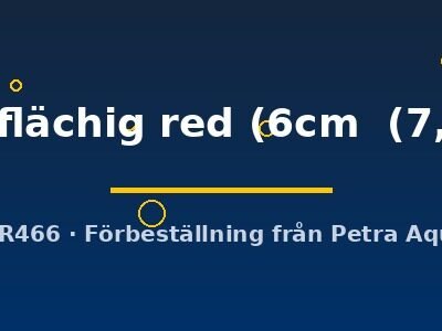 marl. flesching red (Symphysodon marl. flächig red) 6–7,5 cm