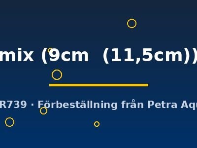 Symphysodon mix 9–11,5 cm
