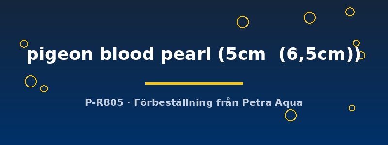 petra-ph2-175171 petra-ph2-175171