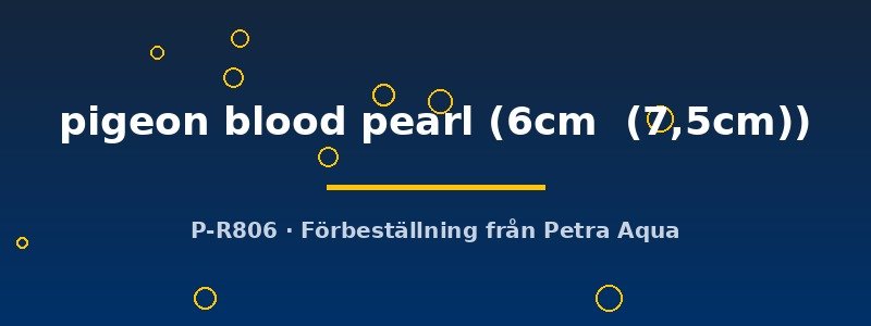 petra-ph2-175172 petra-ph2-175172