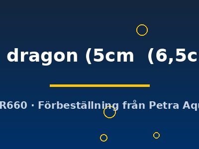 red dragon (5cm (6,5cm))