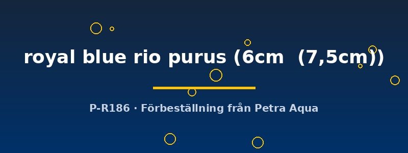 petra-ph2-175210 petra-ph2-175210