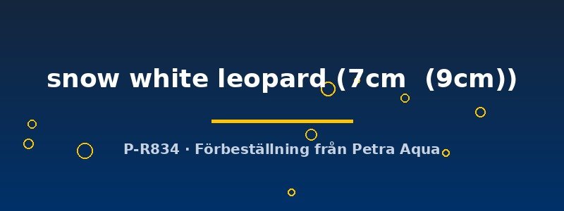 petra-ph2-175222 petra-ph2-175222