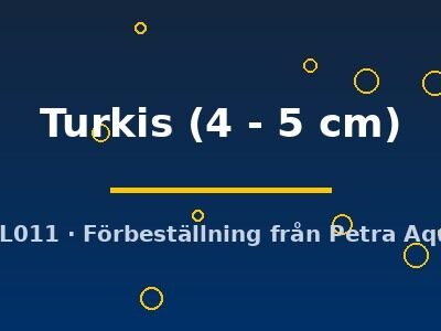 Turkis (4 - 5 cm)