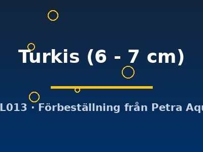 Turkis (6 - 7 cm)