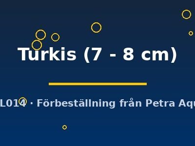 Turkis (7 - 8 cm)