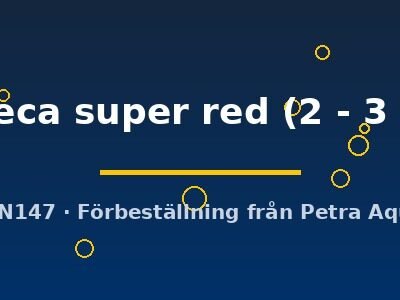 eureca super red (2 - 3 cm)