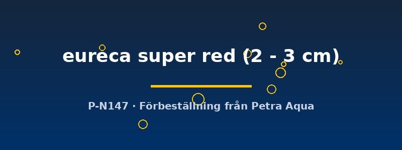 petra-ph2-175292 petra-ph2-175292
