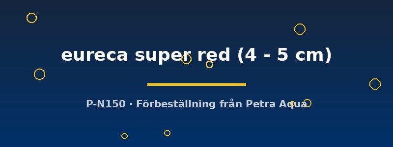 petra-ph2-175293 petra-ph2-175293