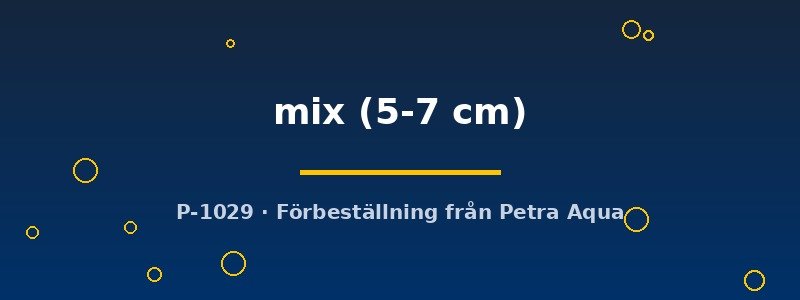 petra-ph2-175342 petra-ph2-175342