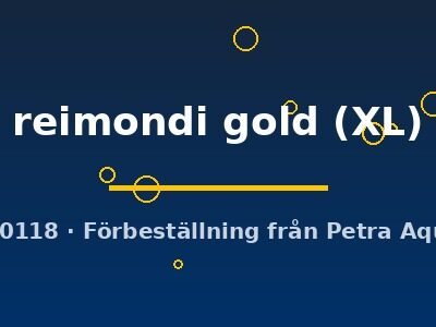 Reimondi Peacock Cichlid Gold (Aulonocara reimondi gold) XL