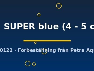 sp. SUPER blue (4 - 5 cm)