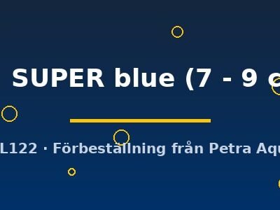 sp. SUPER blue (7 - 9 cm)