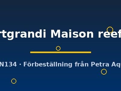 stuartgrandi Maison reef (XL)
