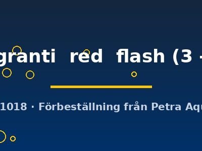 stuartgranti  red  flash (3 - 4 cm)