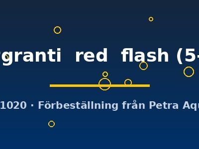 stuartgranti  red  flash (5-7 cm)