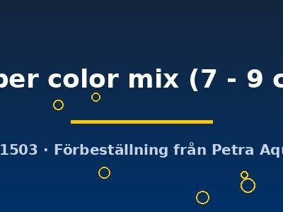 Aulonocara super color mix 7–9 cm