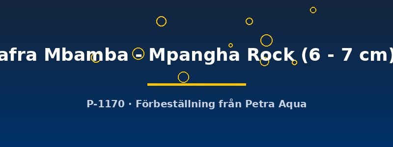 petra-ph2-175492 petra-ph2-175492