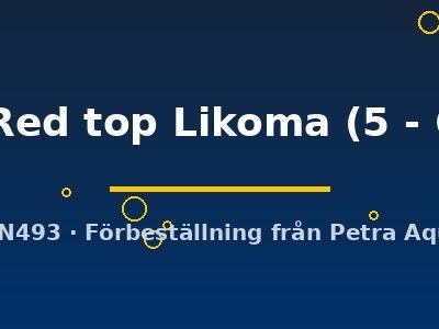Cynotilapia afra Red top Likoma 5–6 cm