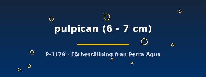 petra-ph2-175523 Cynotilapia pulpican 6–7 cm
