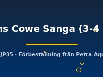 Lions Cowe Sanga (3-4 cm)
