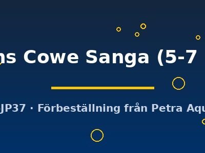 Lions Cowe Sanga (5-7 cm)