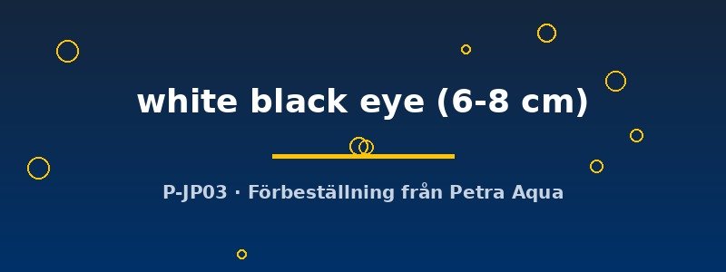 petra-ph2-175554 Cyrtocara Moorii white black eye 6–8 cm