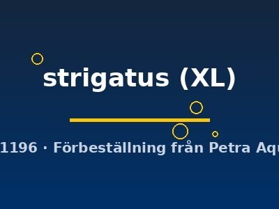 strigatus (XL)