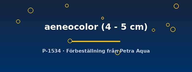 petra-ph2-175569 petra-ph2-175569