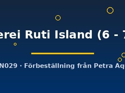 nyererei Ruti Island (6 - 7 cm)