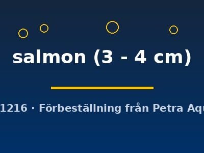 salmon (3 - 4 cm)