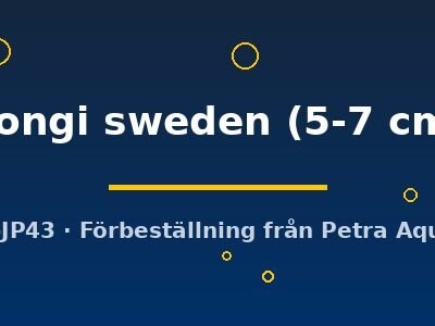 hongi sweden (5-7 cm)