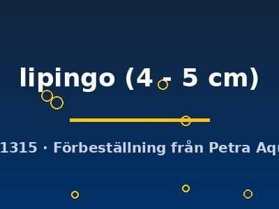 lipingo (4 - 5 cm)