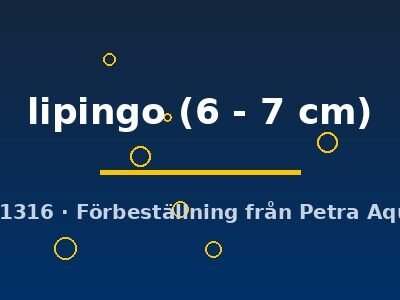 lipingo (6 - 7 cm)