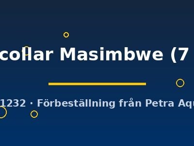 Yellow collar Masimbwe (7 - 9 cm)