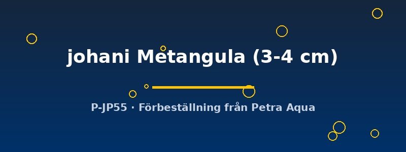 petra-ph2-175835 petra-ph2-175835
